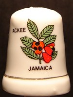 jamaica - ackee